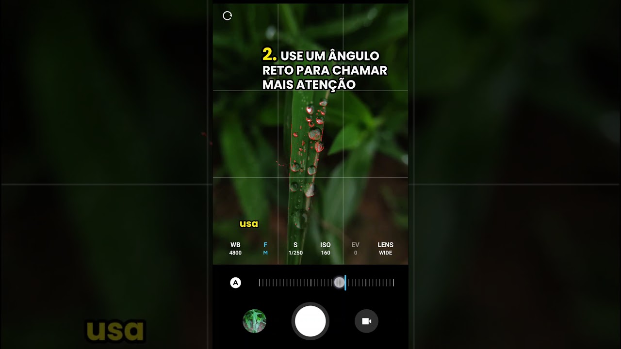 como tirar fotos mais profissionais com o celular  #fotocomcelular #fotografia #fotoscomcelular