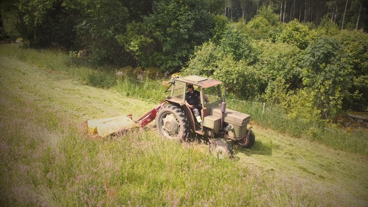 Slår gräs 2024