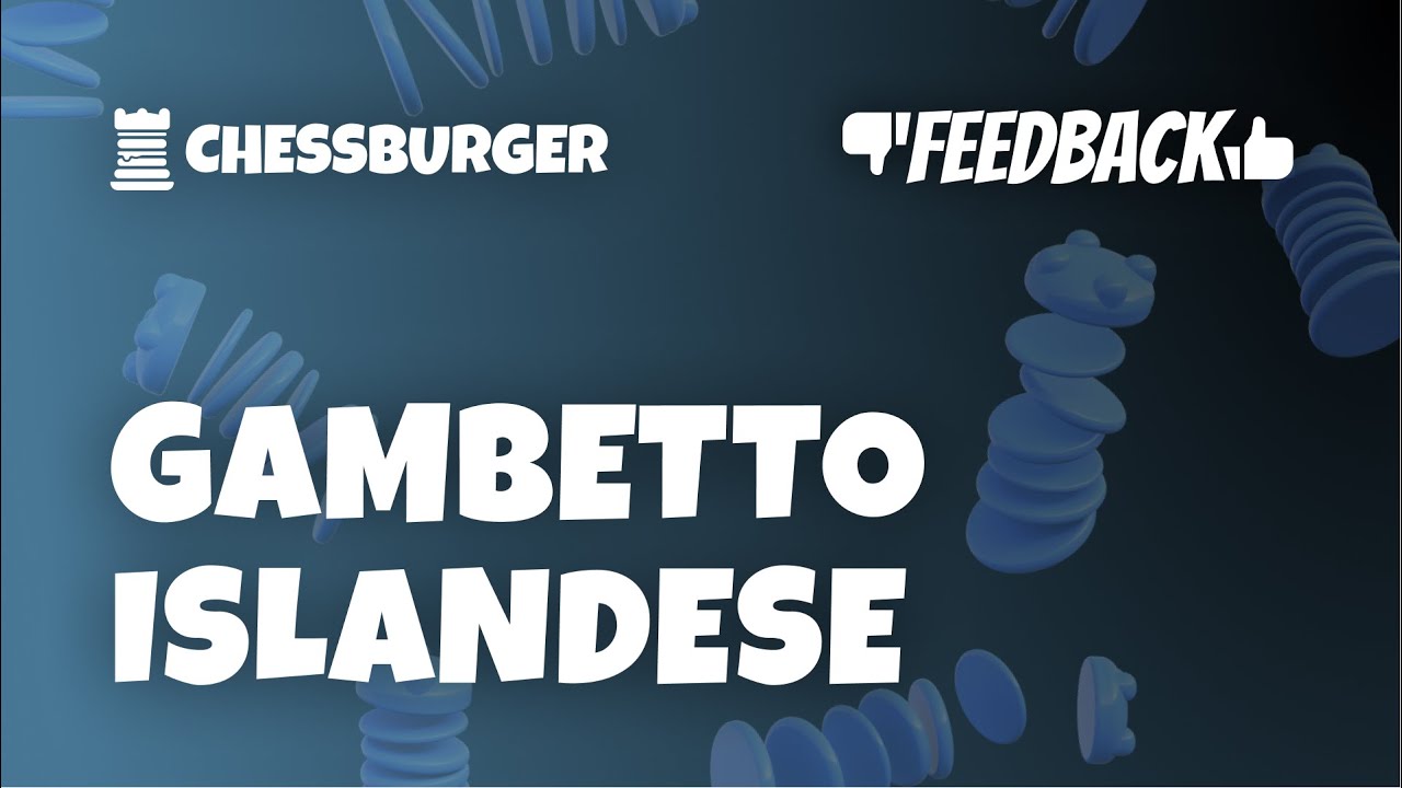 GAMBETTO ISLANDESE | FEEDBACK