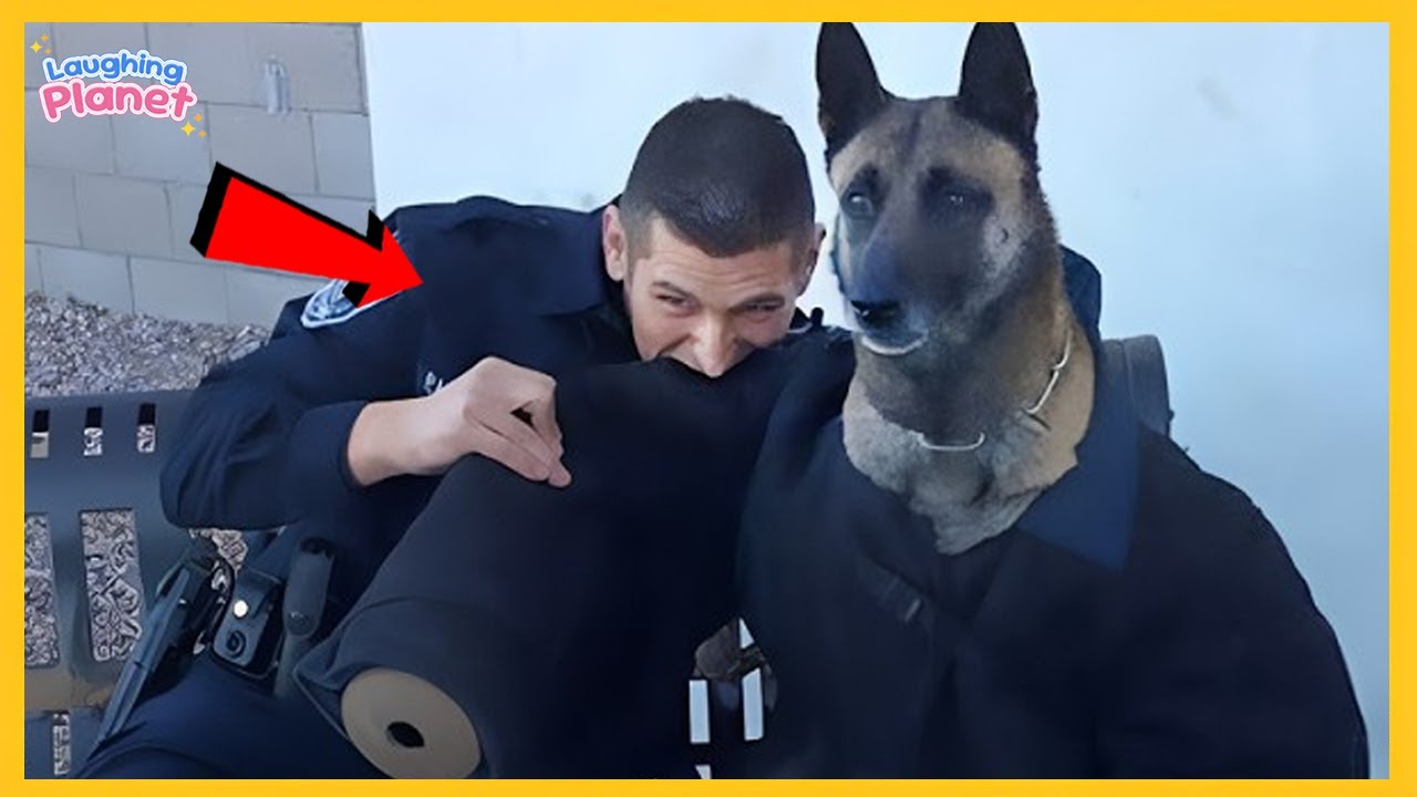👮‍♂️🦮FULL When Police Dogs Forget Their Job😁Funny Dog Videos