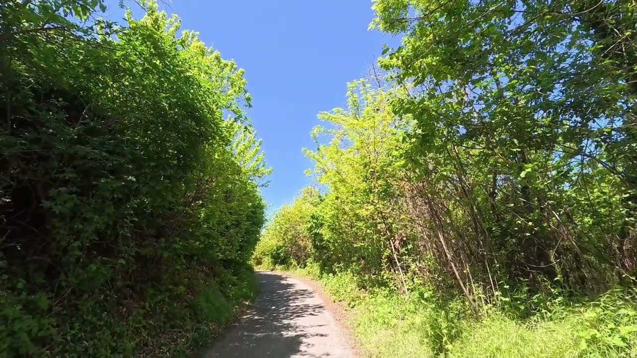PASSEGGIATA DI  PRIMAVERA IN COLLINA A PINEROLO