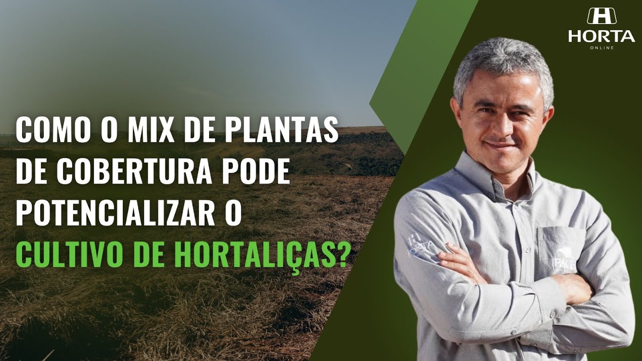 COMO O MIX DE PLANTAS DE COBERTURA PODE POTENCIALIZAR O CULTIVO DE HORTALIÇAS?