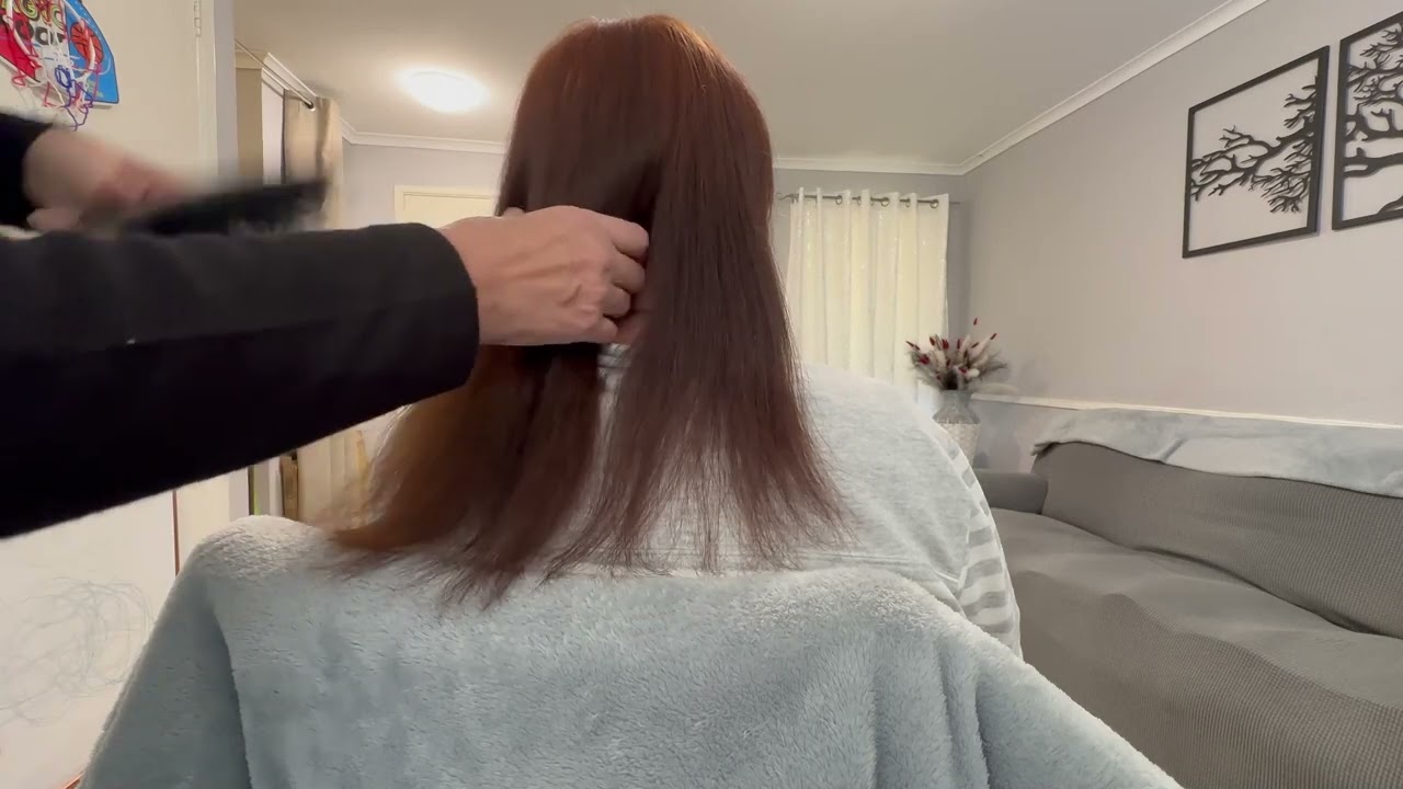Classic Hair Brushing ASMR (no talking)