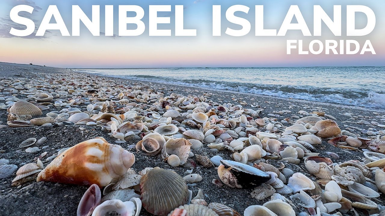 Exploring The Seashell Capital of the World: 2 Days on Sanibel Island, Florida!