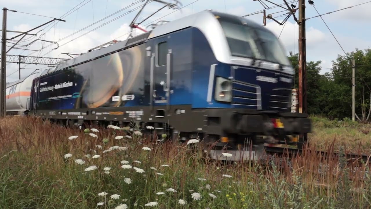 7193 882 ELL/OLAVION