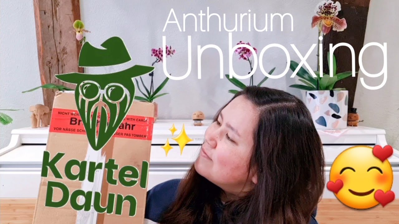 Unboxing ⭐️ | Kartel Daun 🌱 | Einkaufstipp IKEA 🛒