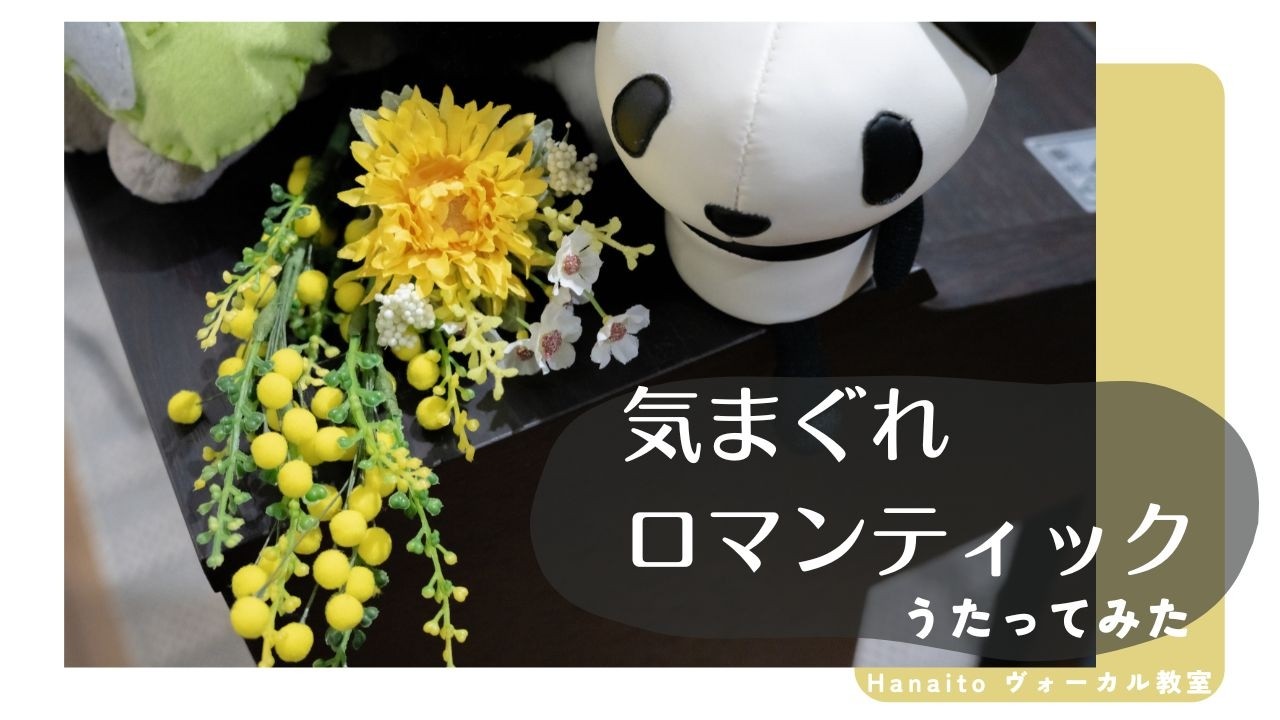 【うたってみた】気まぐれロマンティック / 中川恵理 Cover