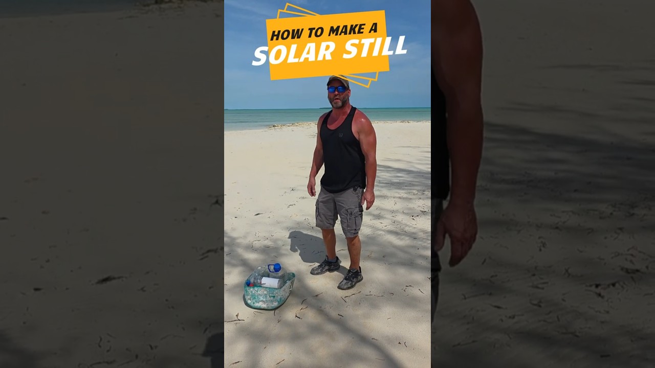 How to make a Solar Still to purify salt water #survival
