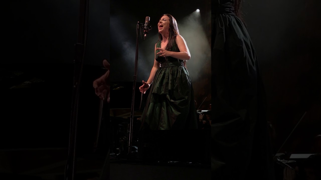 Evanescence 2017: Lost In Paradise (Live)