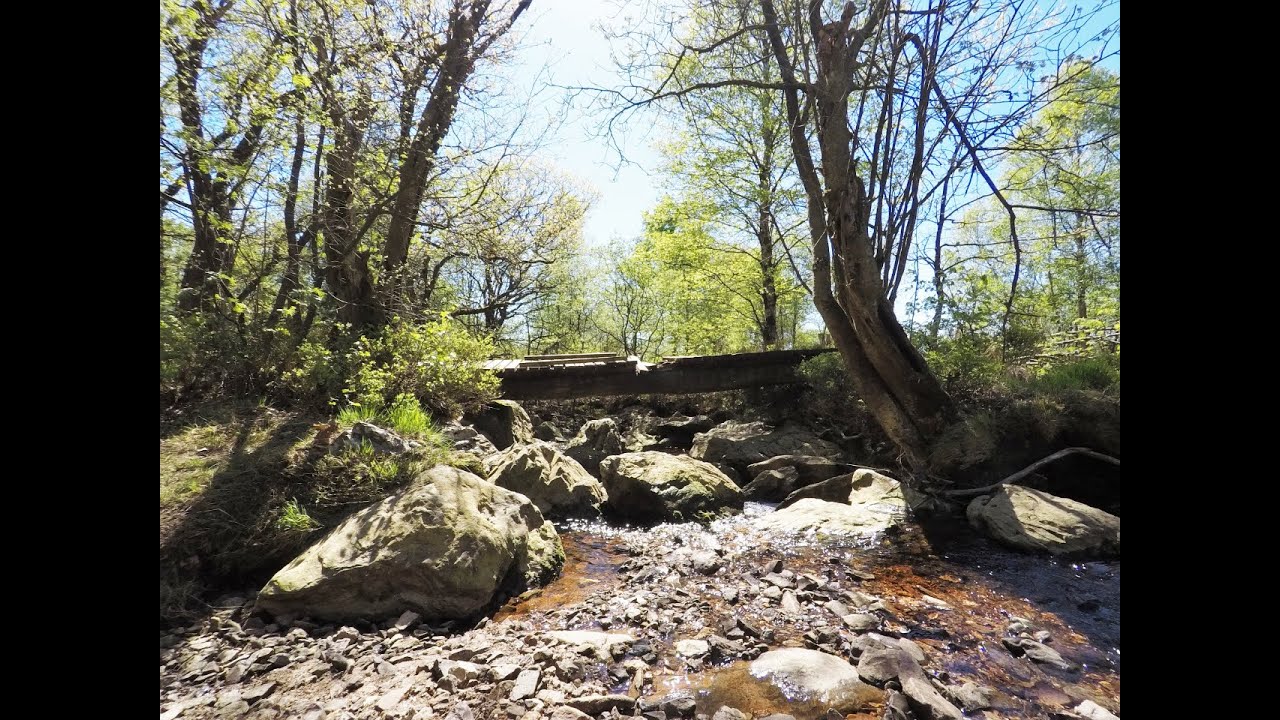 Wandelen Waalse Ardennen Longfaye 2
