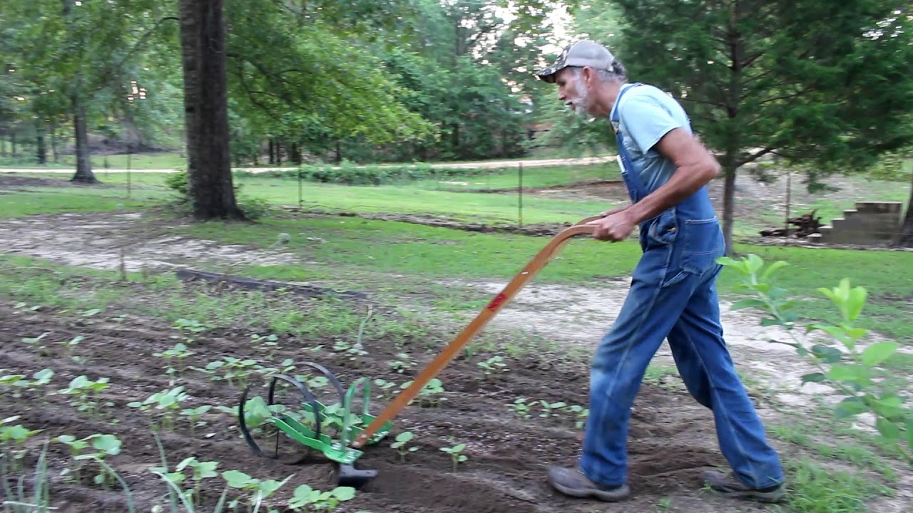 High Arch Wheel Hoe | Plowing OKRA | Hoss Tools