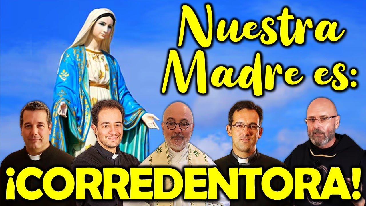 🔶¡ELLOS HABLAN DE LA CORREDENCIÓN! - P. Fortea, P. Ravasi, P. Spahn, P. Lombardo, P. Giménez