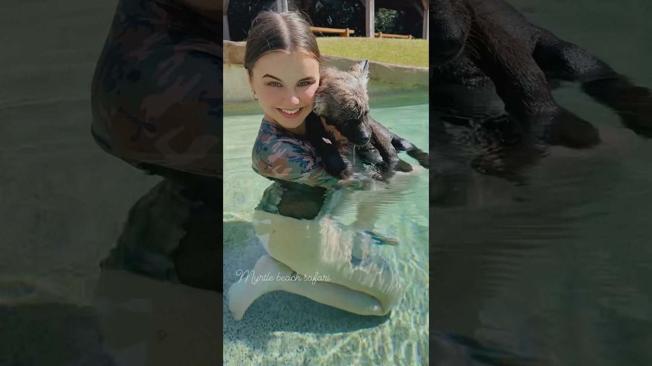 My hyenas first time in the pool💦🩵 she is loveing swimming!