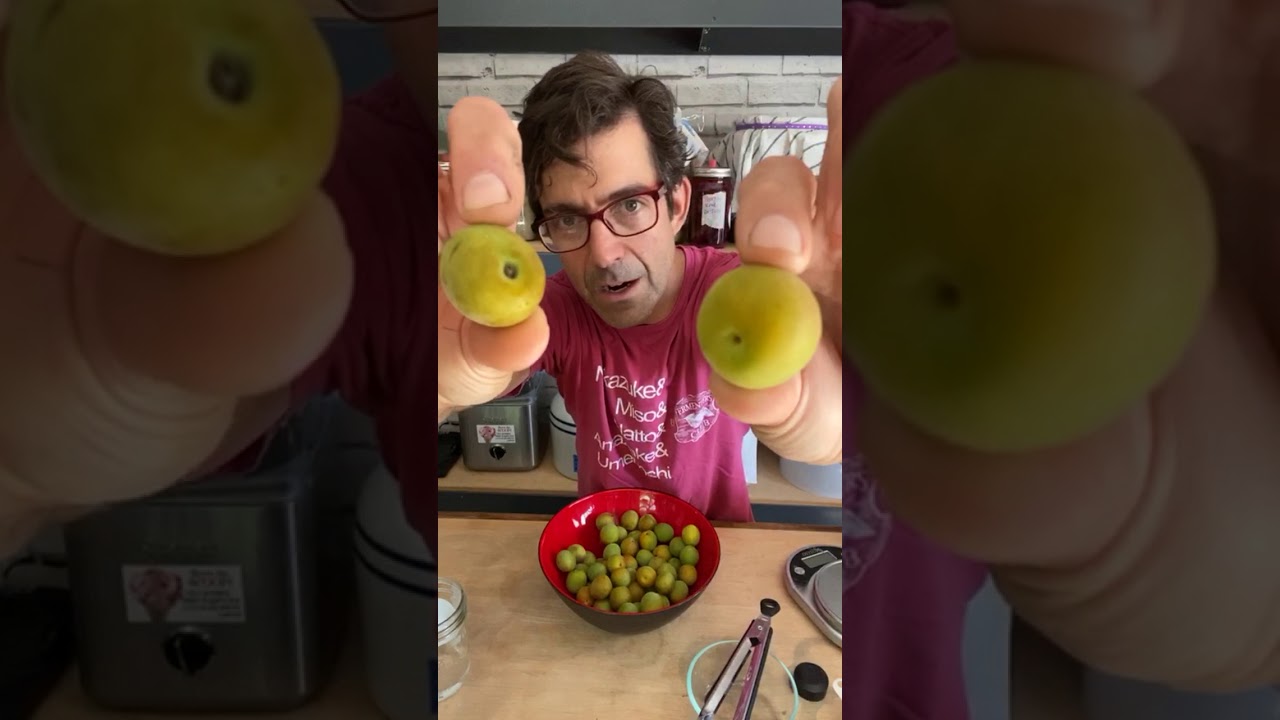 2020: Making Umeboshi (Japanese Pickled Plums): Part 1