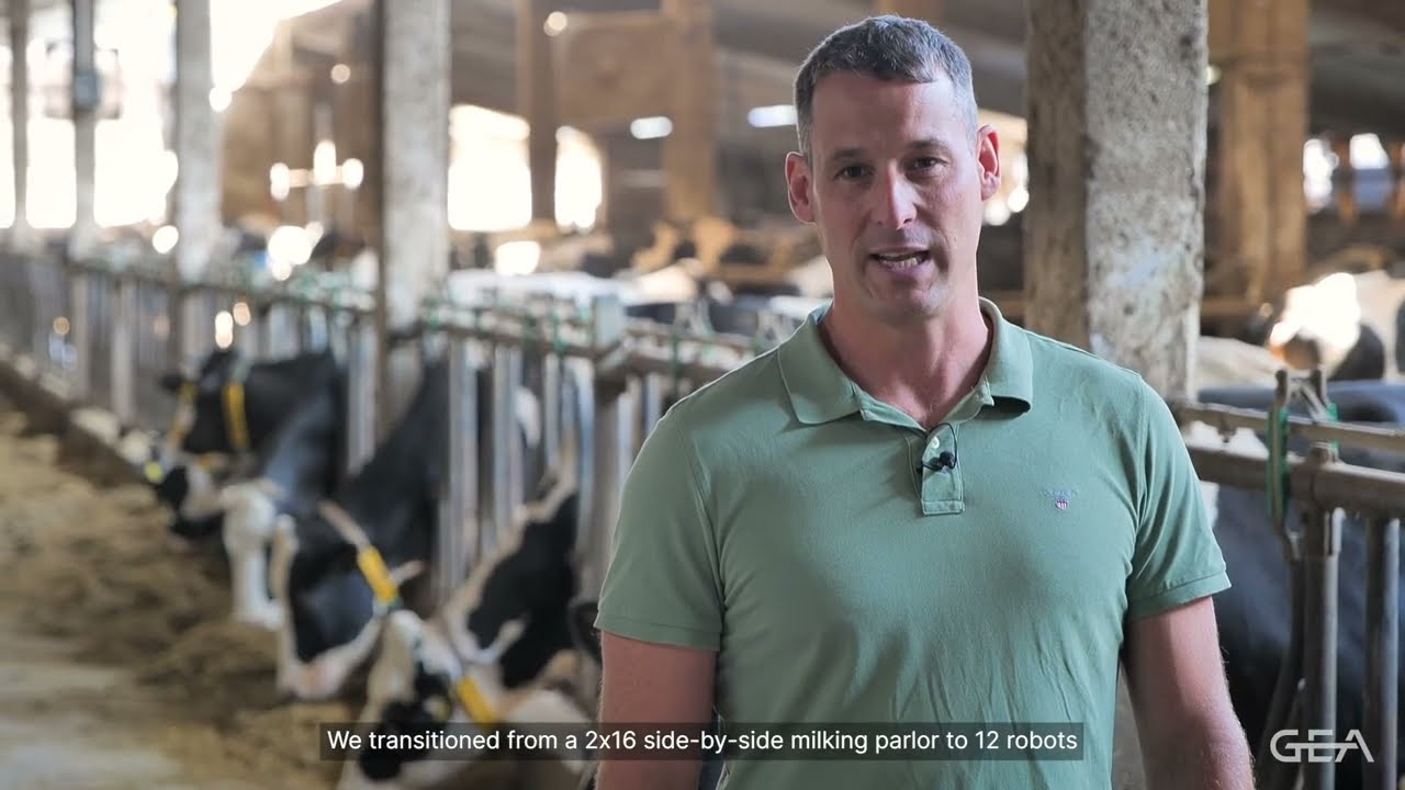 Batch Milking with 12 DairyRobot R9650 - Farmer Story Carsten Göbel