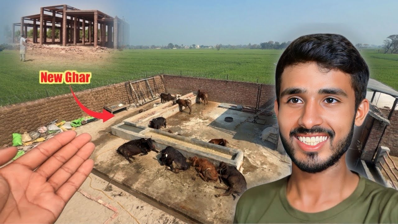 Janwaro Ke Liye New Ghar Bana Rahe Hain 😍