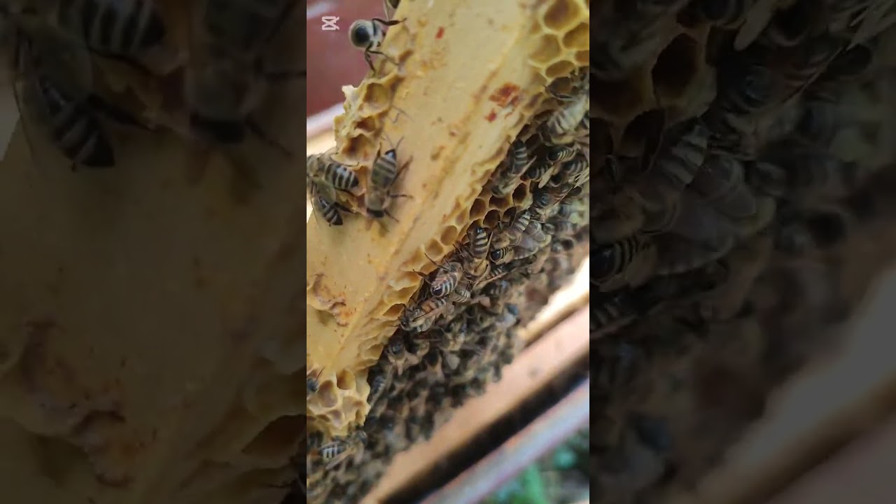 Kako napraviti matice za svoje potrebe