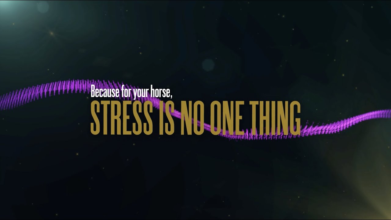 A Music Track Specially Designed to Help Relieve Stress in Horses