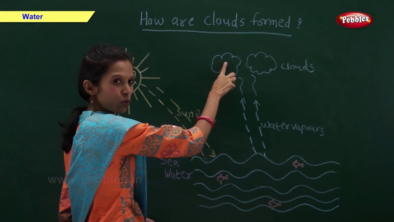 Water | Science Basics For Kids | Science For Class 1