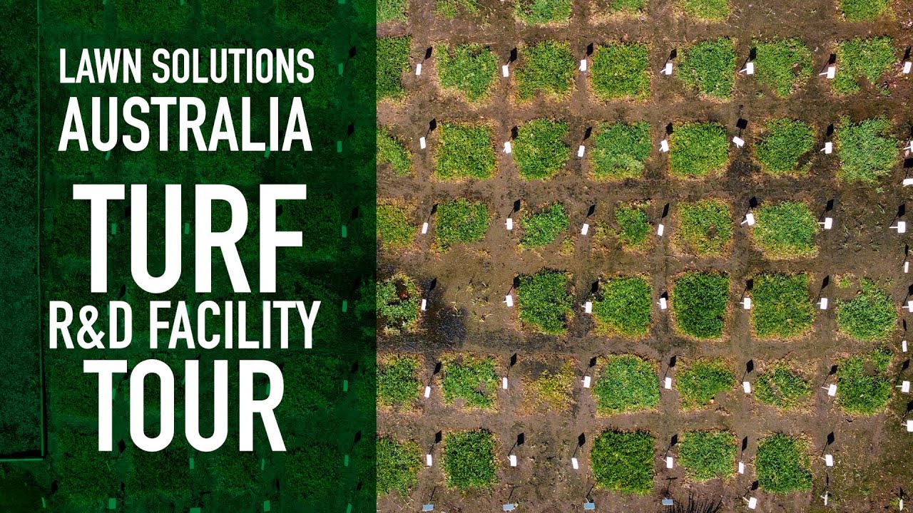 Lawn Solutions Australia Turf R&D Facility Tour