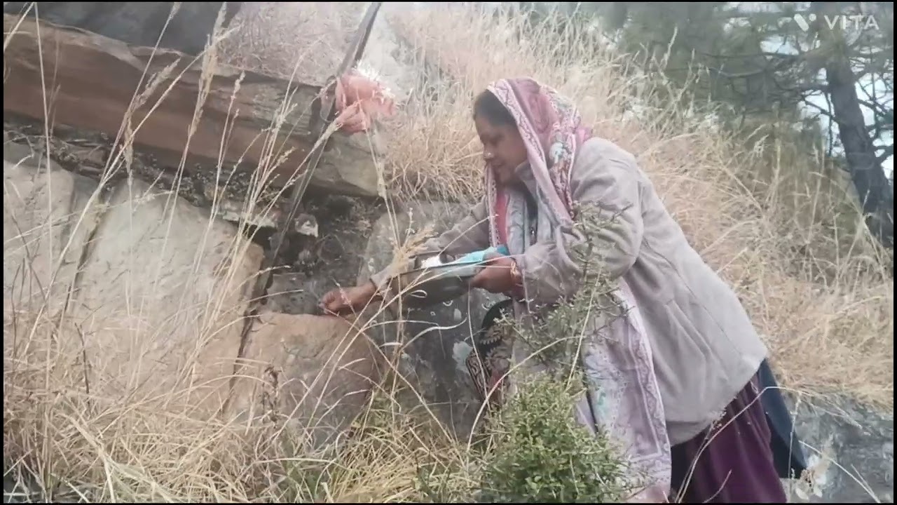 बसंत पंचमी के शुभ अवसर पर बर्फबारी हुई