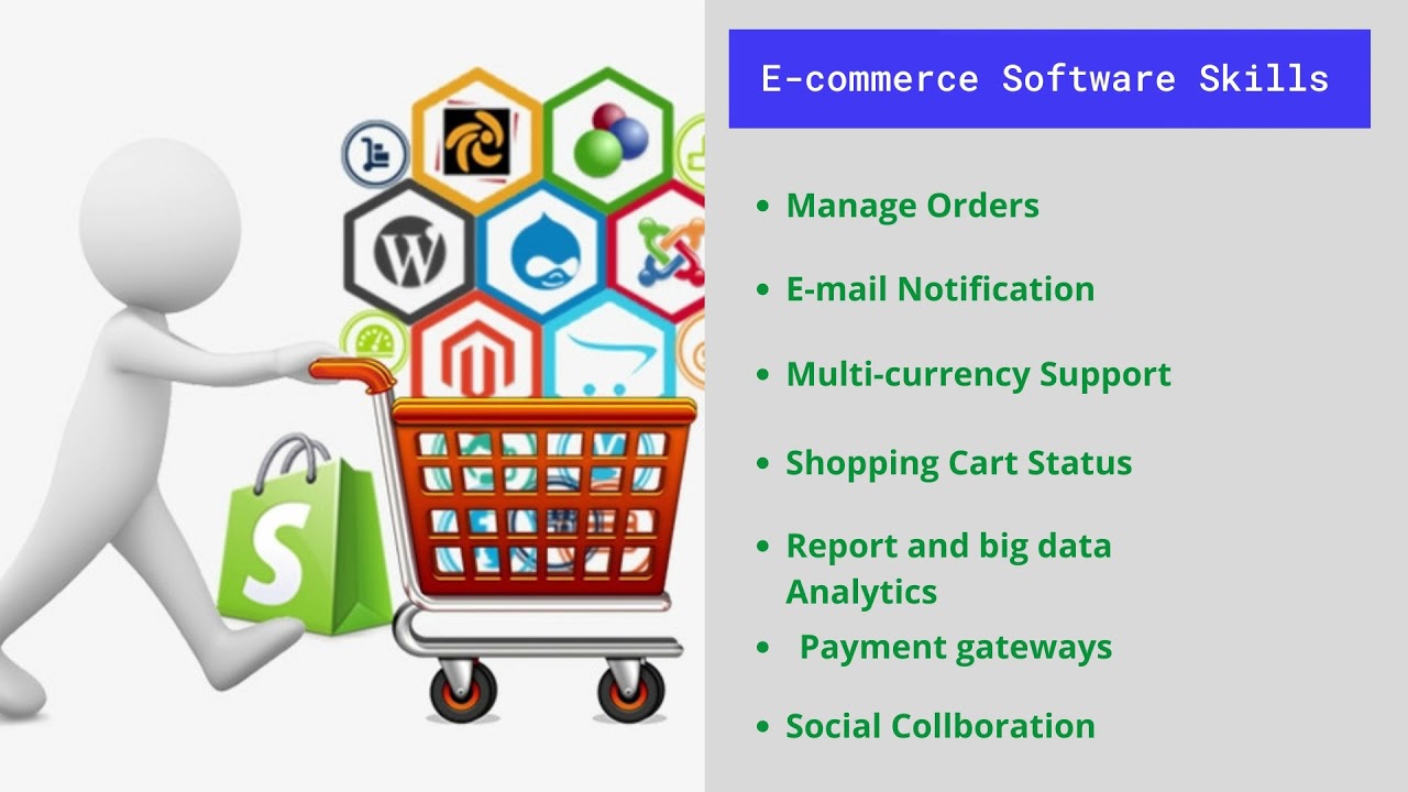 best ecommerce website development company | DN Websolution