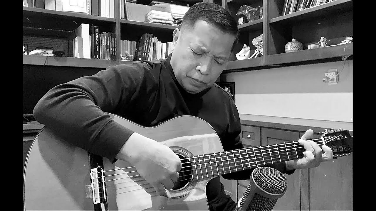 Vincent - sáng tác: Don McLean - đàn/hát: npn