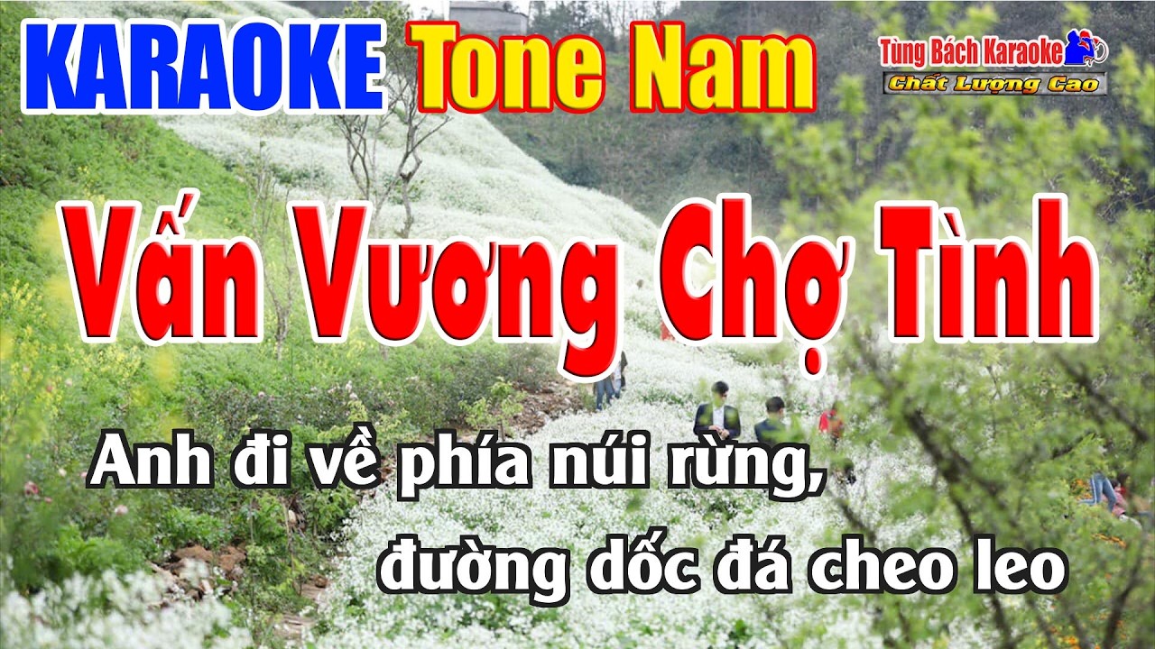 Vấn Vương Chợ Tình | Karaoke Tone Nam | Nhạc Sống Tùng Bách