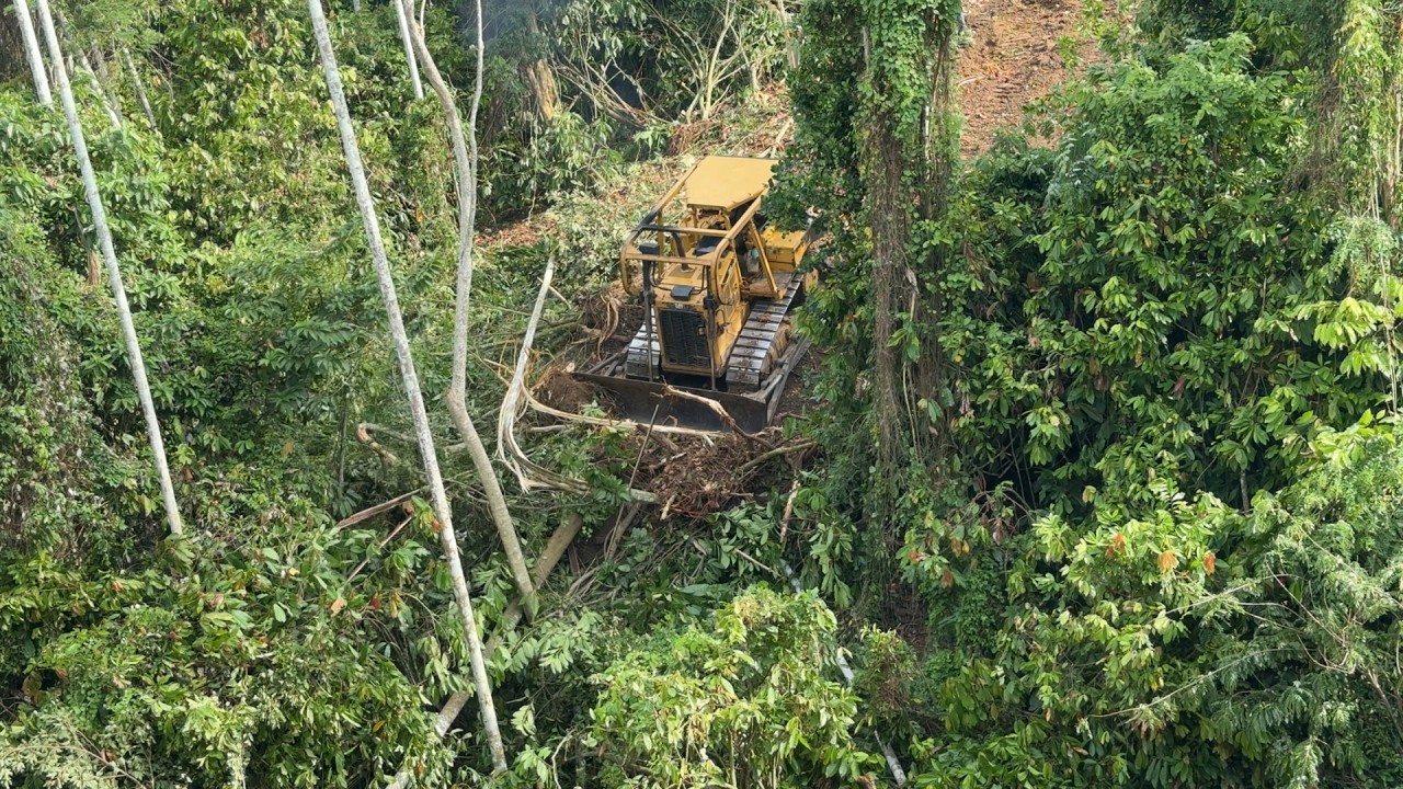 Achieve Success in Palm Oil Fields in the Mountains Opened with the D6R XL Bulldozer!