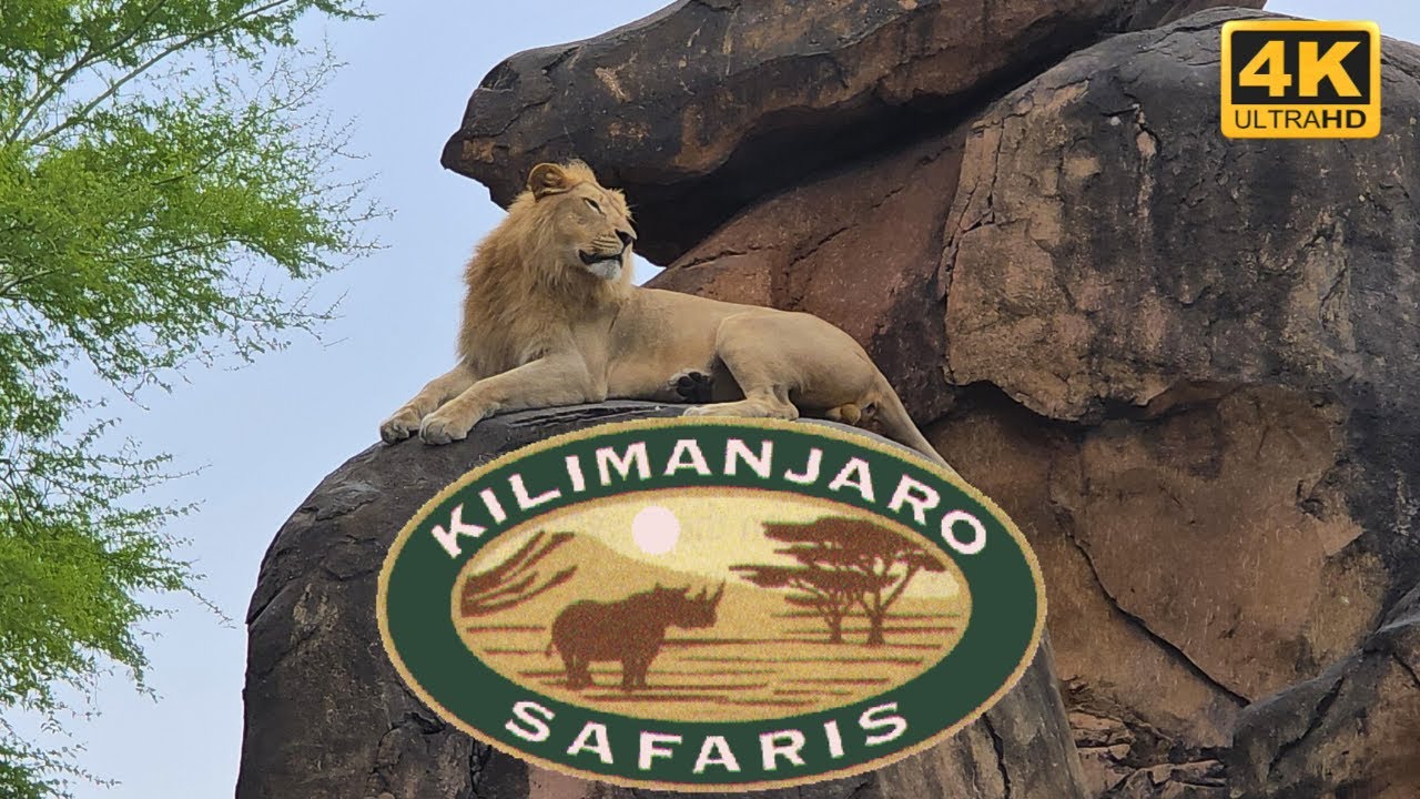 Kilimanjaro Safaris On-Ride POV 2025 | Disney’s Animal Kingdom Full Ride in 4K