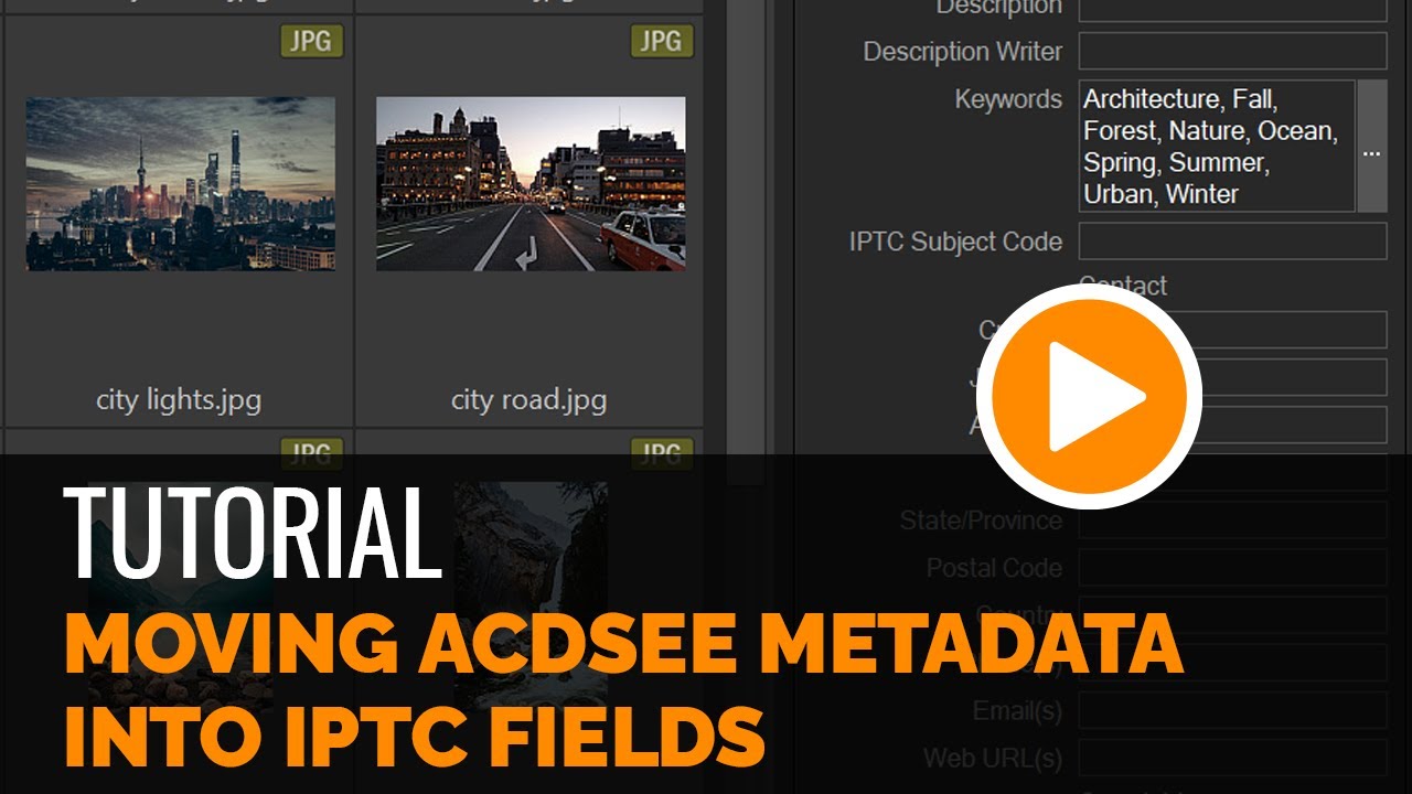 Moving ACDSee Metadata into the IPTC field - Tutorial