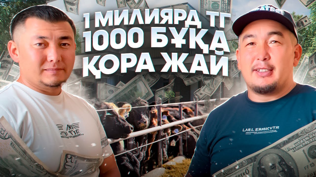 1 милиярд тг ге салынға заманауи бұқа борлақылау аланы(4 сала,кормороздатчик)