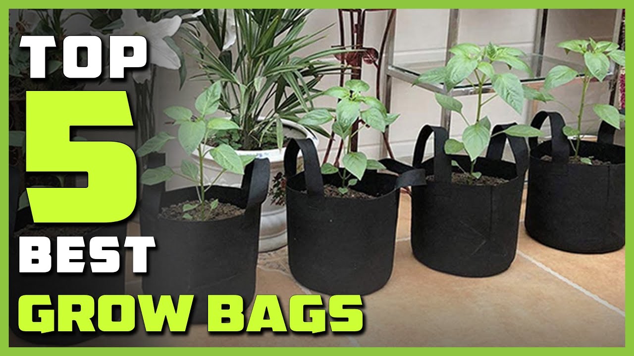 Top 5 Best Grow Bags for Indoor and Outdoor Garden [Review in 2024]