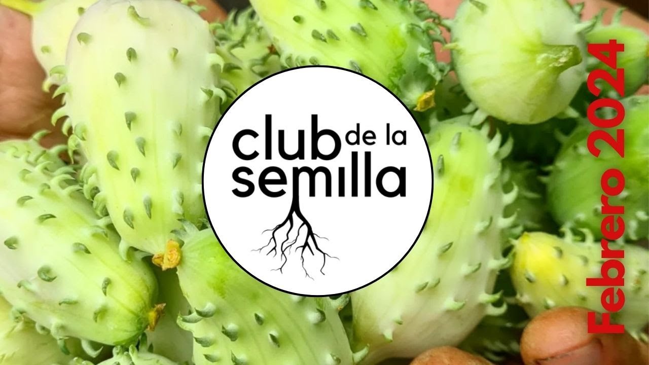 Lo que sembramos en Febrero (el club de la semilla)