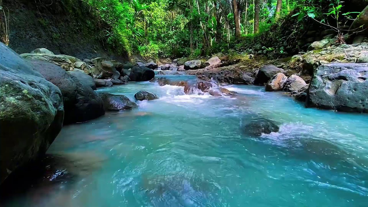 Flowing Mountain Water Sounds, Forest River Stream, Deep Sleep