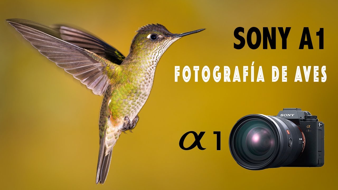 Sony A1 para Fotografía de Aves