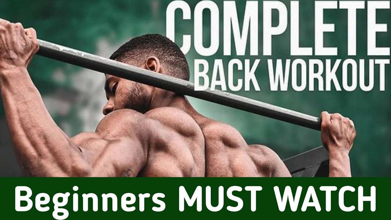 back workout for beginners | back exercise | back workout | suraj fitness