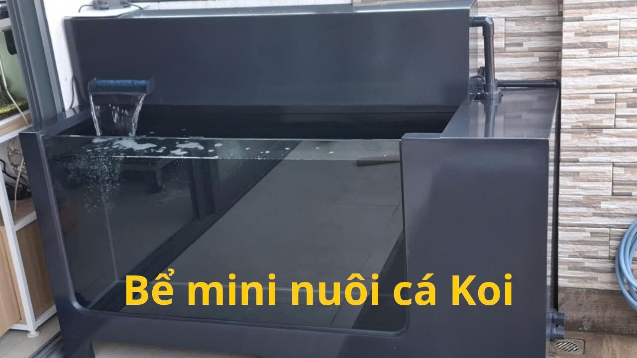 Bể Nuôi Cá Koi Mini 🐬 (150x50x65) _ Nhựa Frp nguyên khối / Giang minh Composite