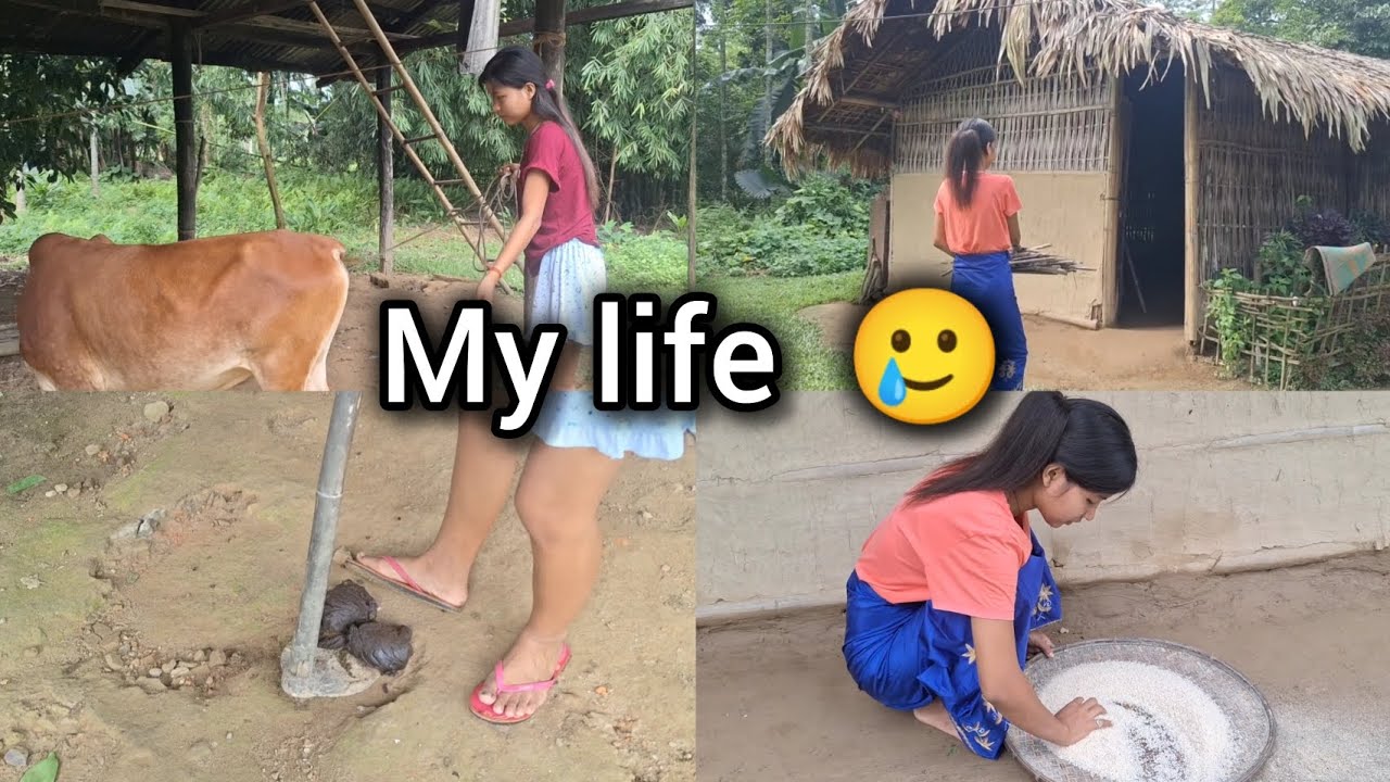 My life 🥲//Village vlog #asssam
