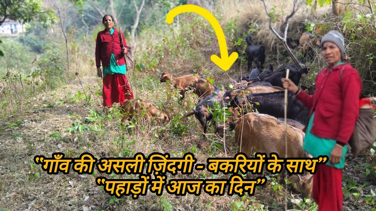  Aaj ham Gaye jungle bakri ko lekar block mein dekhna kya hota hai😭 