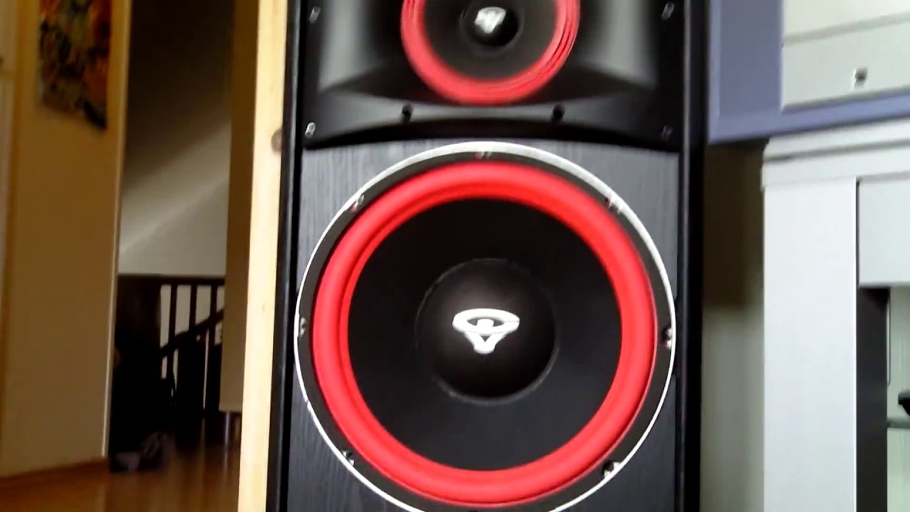 Cerwin Vega! XLS 12 Flexing