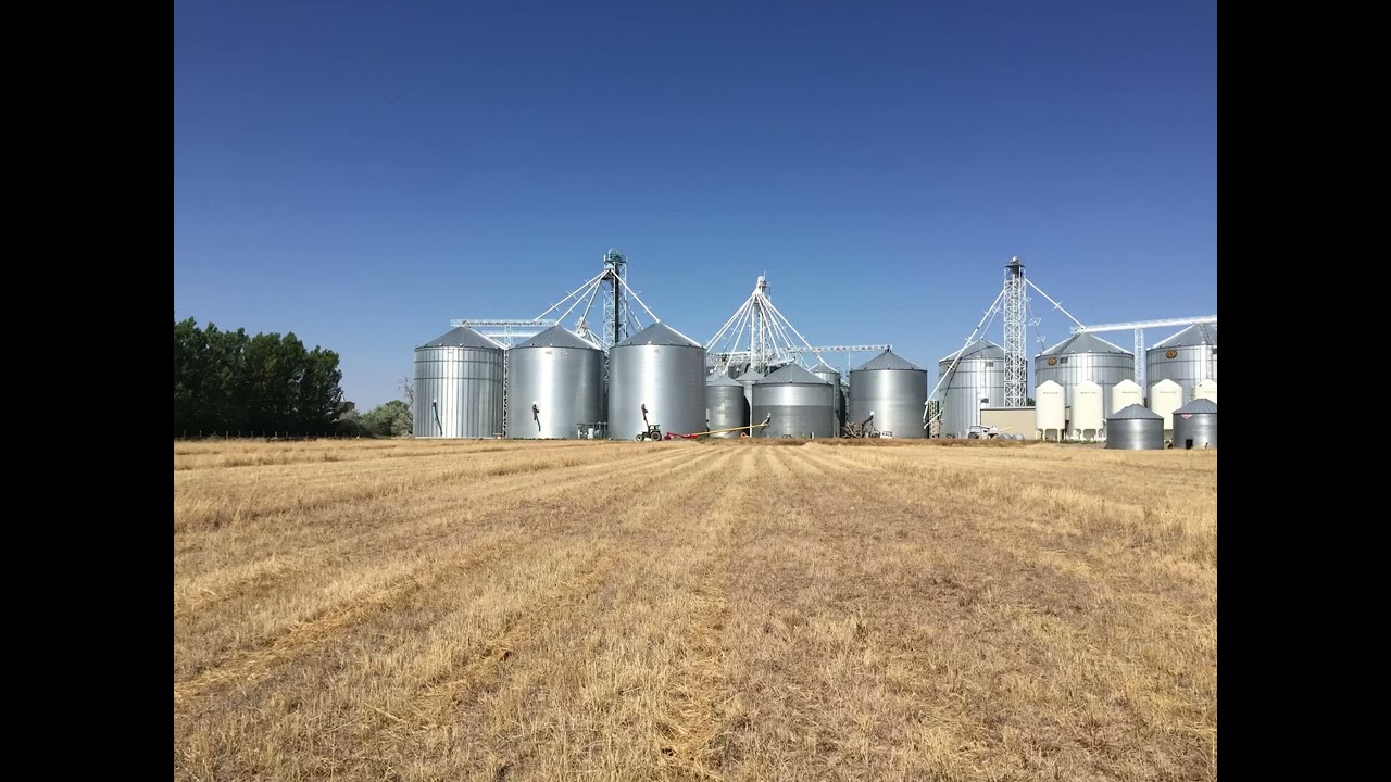 RirieGrain PictureVideo2026