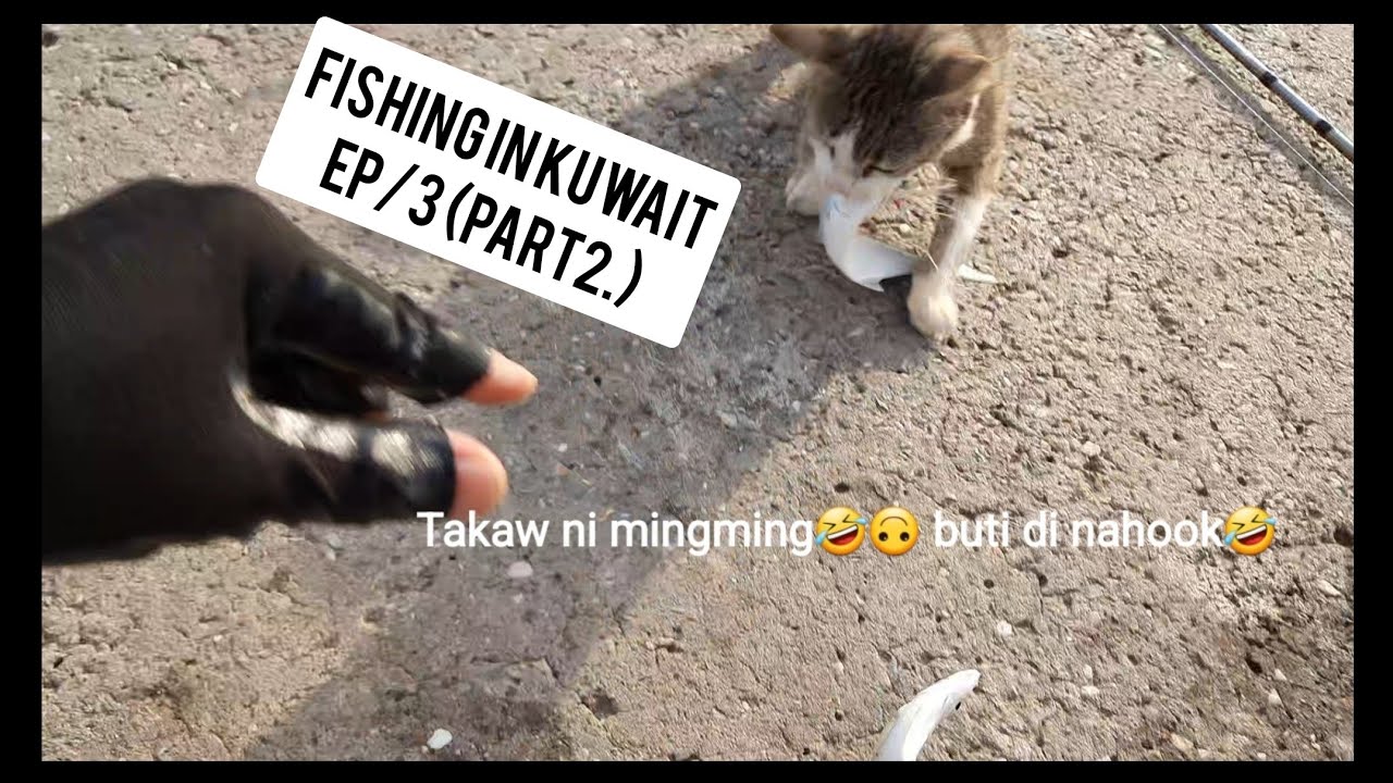 #FISHING IN KUWAIT EP/3 PART 2. #RATTLER LANG SAKALAM🤘