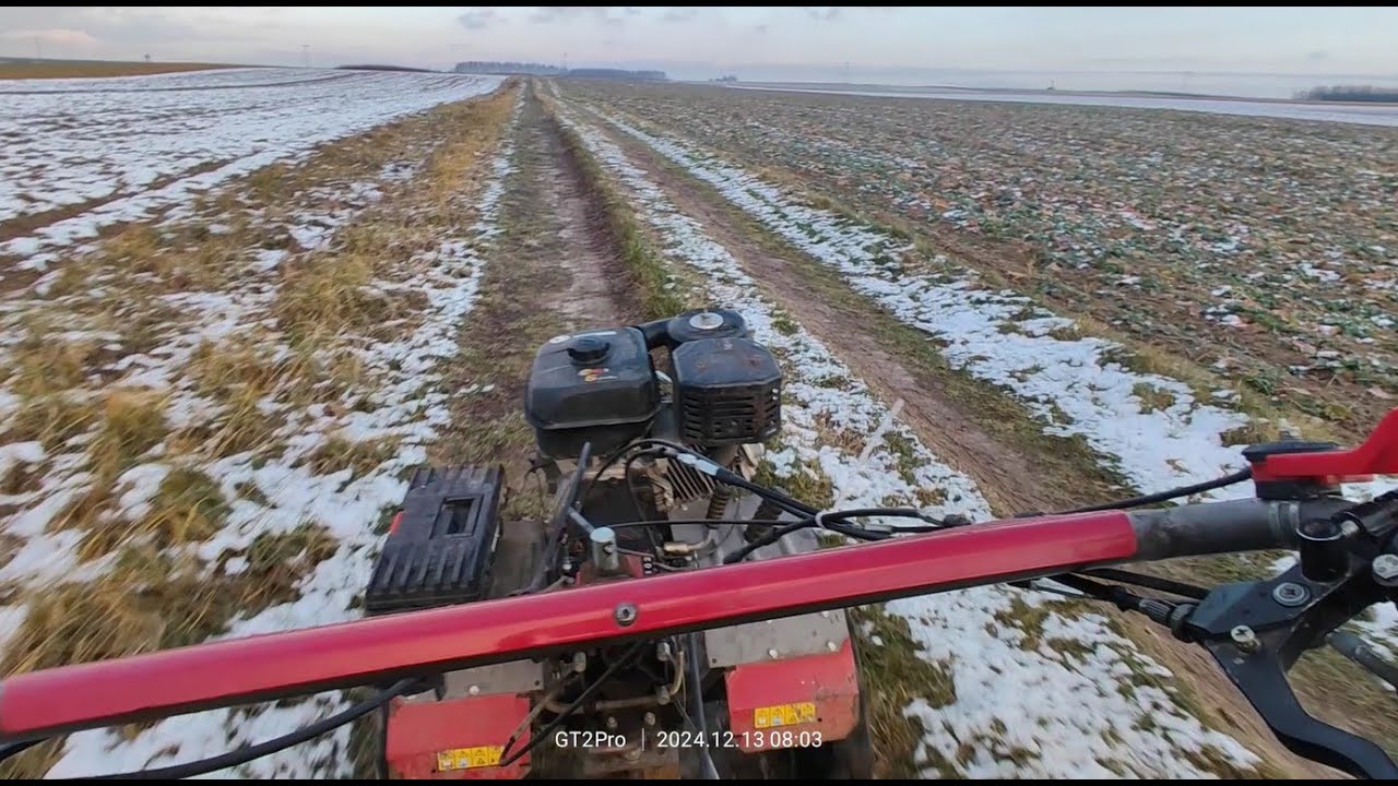 Oranie na zime ogródka u teścia - traktor jednoosiowy weima 1100 6dif, 13koni.