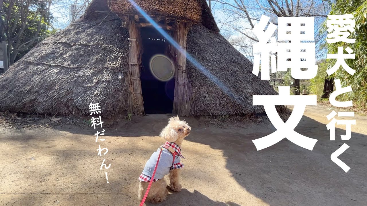 愛犬と縄文世界に行ったら最高だった。