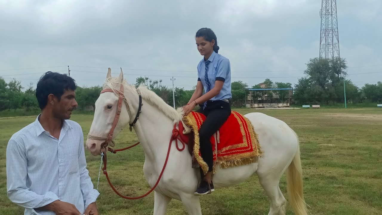 Horse riding trening at Veer Teja Academy khood 