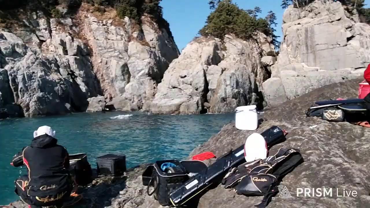 거제 지세포 벵에돔(선창낚시)