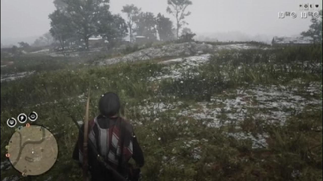 Red Dead Redemption 2_20251206010036