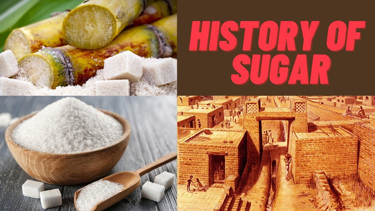 From Papua New Guinea to India - The History of Sugar !!