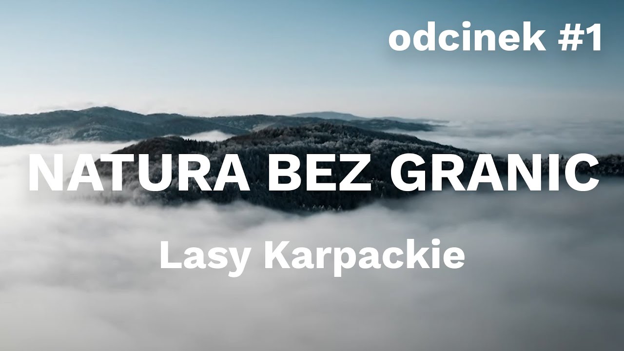 Natura bez granic. Lasy Karpackie [odcinek #1]